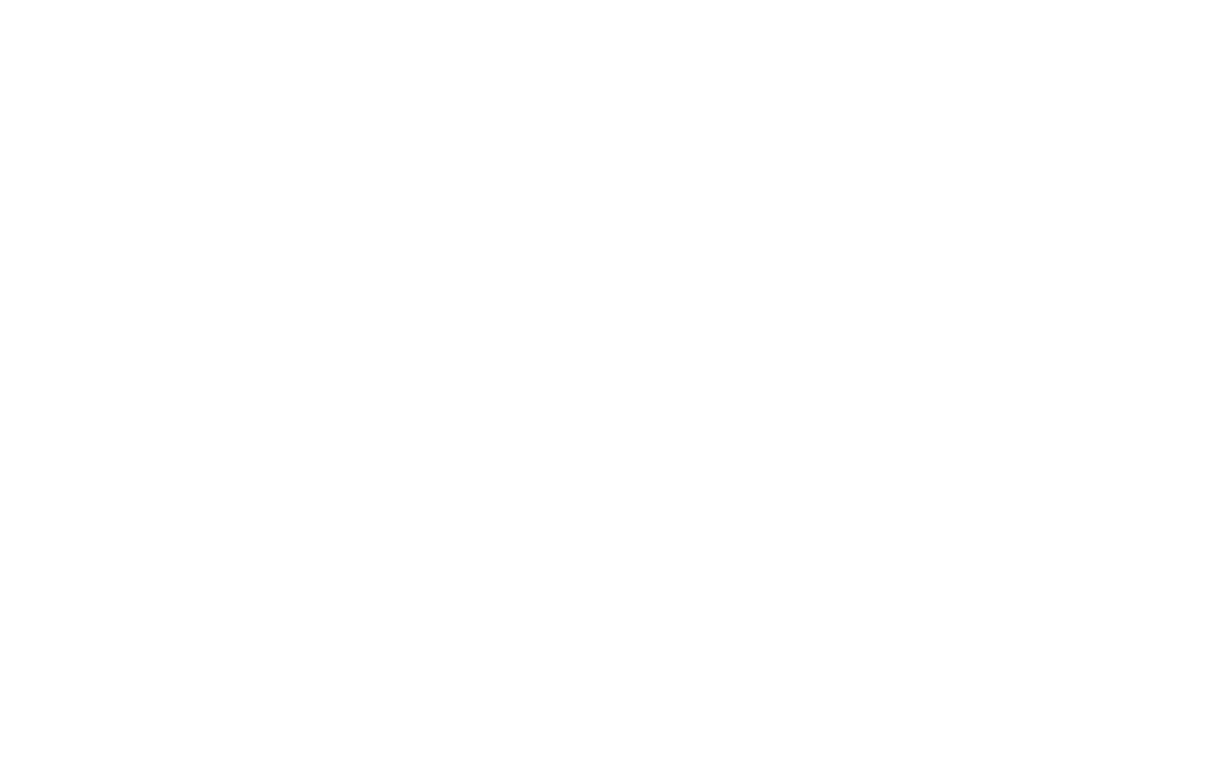 Paralyzed Veterans of America - Wisconsin Chapter Logo